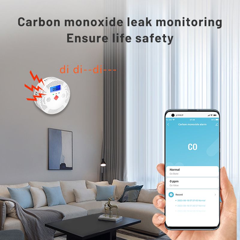 Tuya-Détecteur de monoxyde de  - Smoke Leak Detector avis et prix